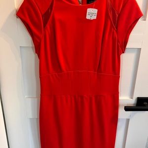 Ted Baker dress new with tags never worn